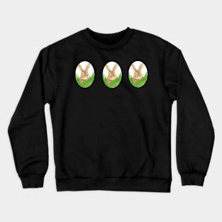 Easter bunny in the grass, oval shape Crewneck Sweatshirt